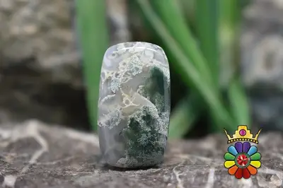 عقیق خزه ای