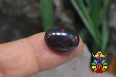 اپال سیاه اتیوپی