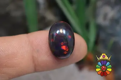 اپال سیاه اتیوپی