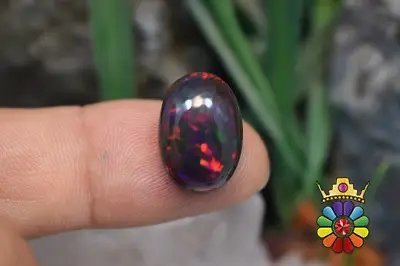 اپال سیاه اتیوپی