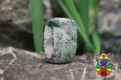 عقیق خزه ای