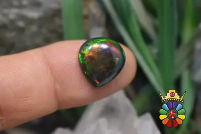 اپال سیاه اتیوپی