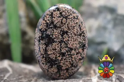 نبولا جاسپر