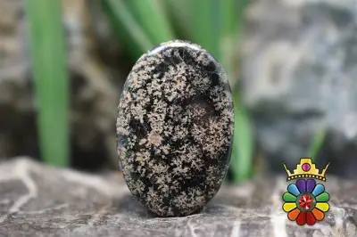 نبولا جاسپر