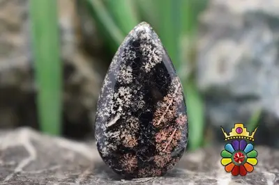 نبولا جاسپر