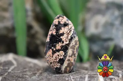 نبولا جاسپر