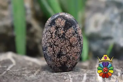 نبولا جاسپر