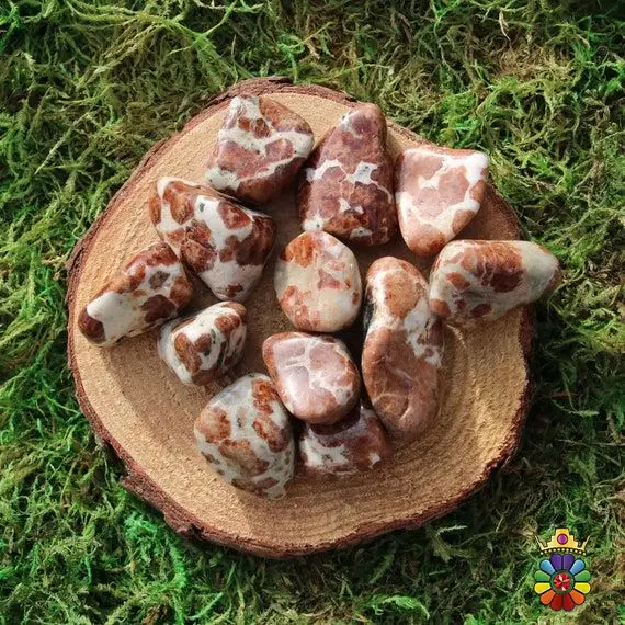 گارنت این لیمه