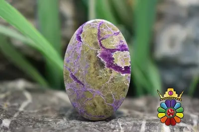 استیچ تیت (اتلانتیسیت)