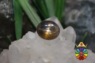 سنگ خورشید چشم گربه ای