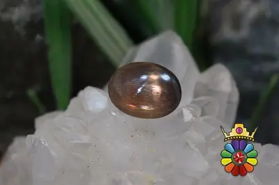 سنگ خورشید چشم گربه ای