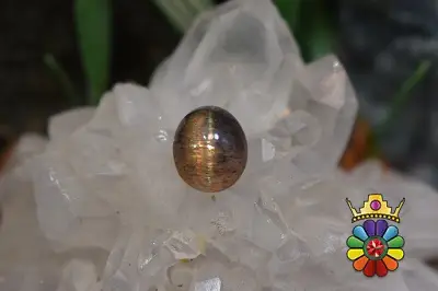 سنگ خورشید چشم گربه ای