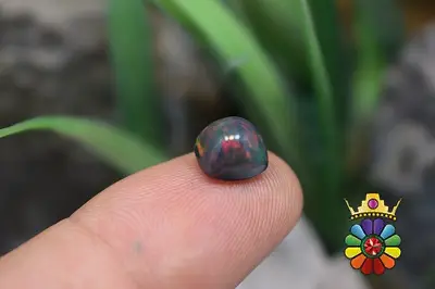 اپال سیاه اتیوپی