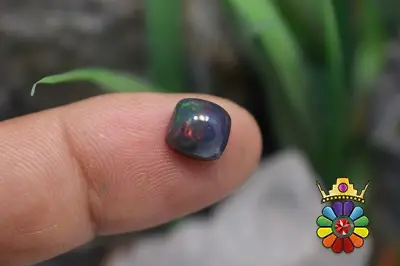 اپال سیاه اتیوپی