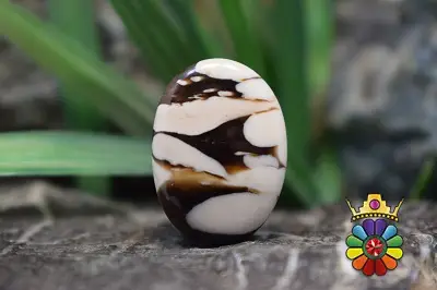 پینت وود جاسپر