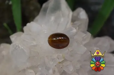 سنگ خورشید چشم گربه ای