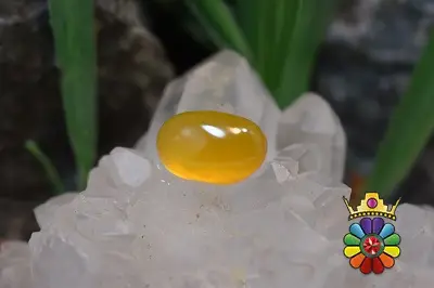 عقیق شرف شمس اصل