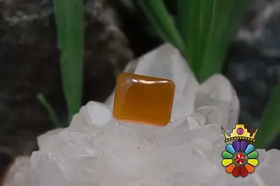 عقیق شرف شمس اصل