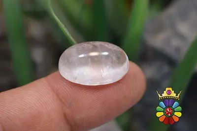 در نجف اصلی