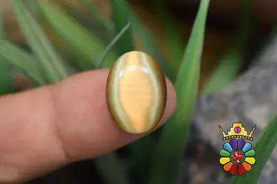 چشم گربه چینی