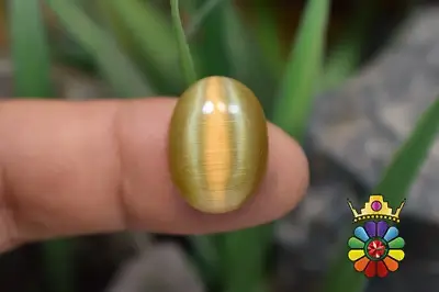 چشم گربه چینی