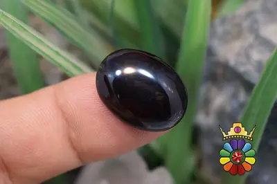 کهربای سیاه