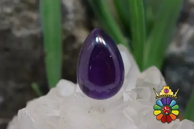 امتیست دامله(کاپوشی)