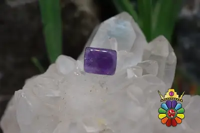 امتیست دامله(کاپوشی)