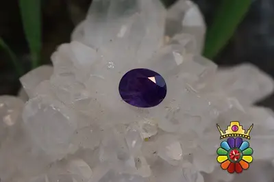 امتیست تراش