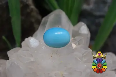 فیروزه امریکایی