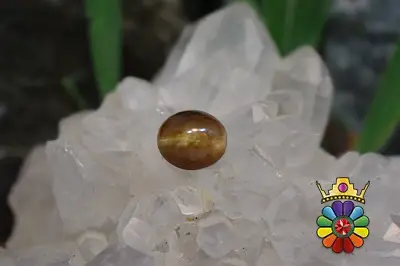 چشم گربه چینی