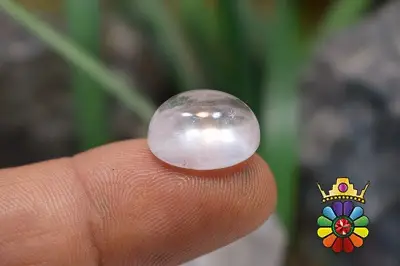 در نجف اصلی