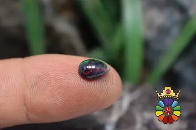 اپال سیاه اتیوپی