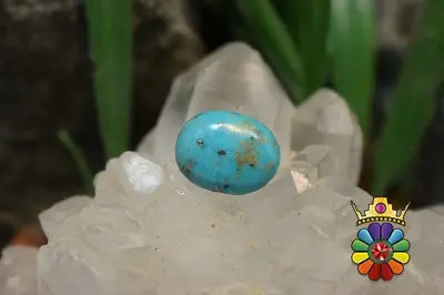 فیروزه کرمان