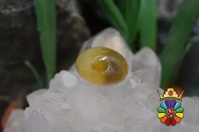 عقیق باباقوری