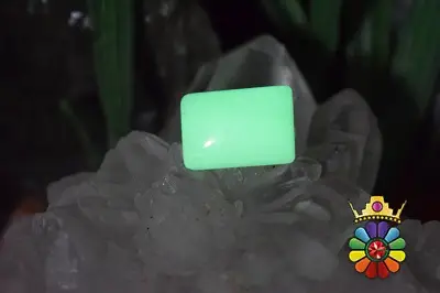 فسفریت شب نما