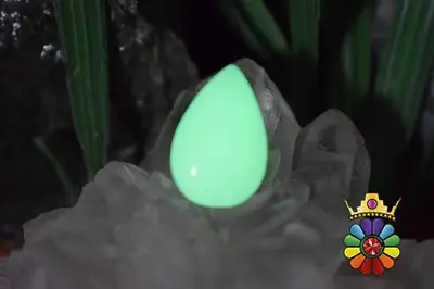 فسفریت شب نما