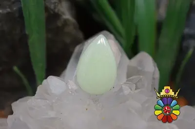 فسفریت شب نما