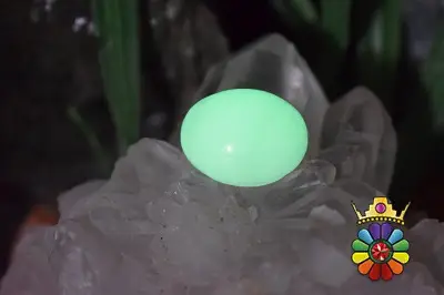 فسفریت شب نما