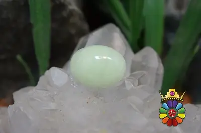 فسفریت شب نما