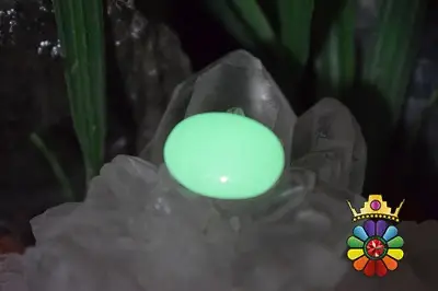 فسفریت شب نما