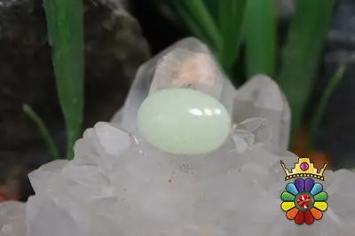 فسفریت شب نما