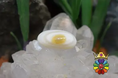 عقیق باباقوری