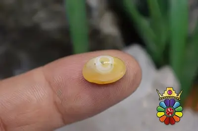 عقیق باباقوری