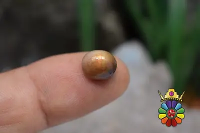 سنگ خورشید (سان استون )