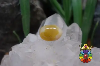 عقیق باباقوری