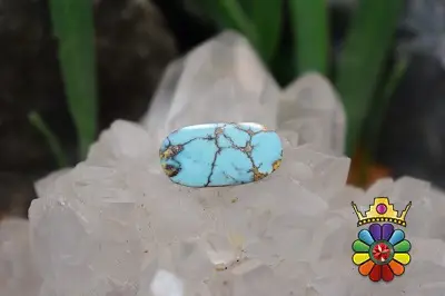 فیروزه نیشابور