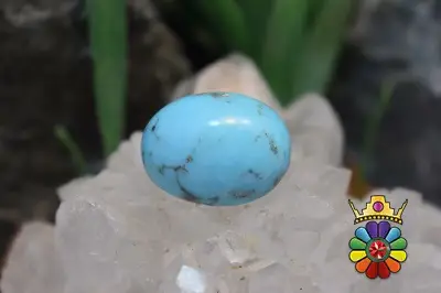 فیروزه نیشابور