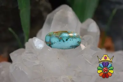 فیروزه نیشابور