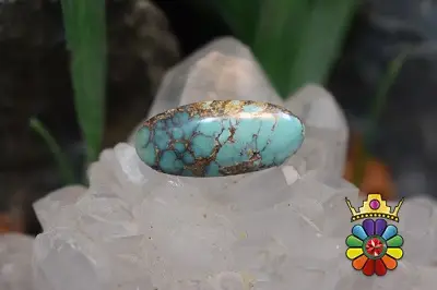 فیروزه نیشابور